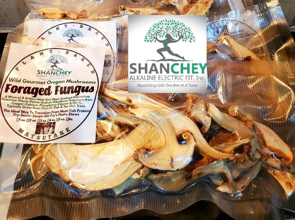 FORAGED FUNGUS Wild Seasonal Dehydrated Mushrooms (1 oz.)-Lions' Mane-Lobster-Matsutake-Maitake-Etc.