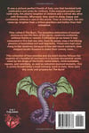 After The Burn (Paperback)