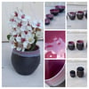 Black Pink Range