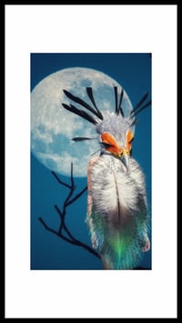 Image 1 of Bird bride