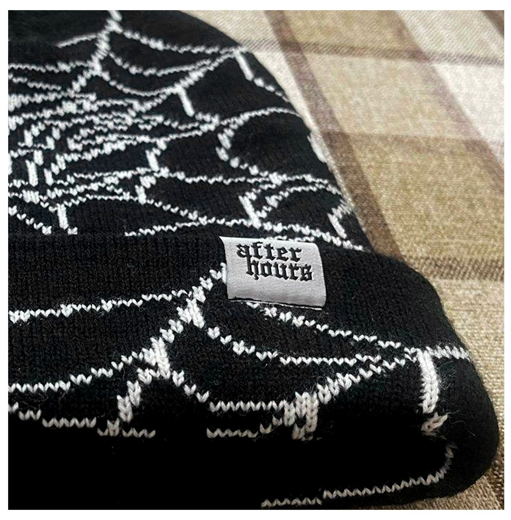 Cobweb beanie
