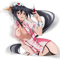 Akeno Nurse  (In Stock)