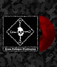 Revenge S.C.E LP Re-issue