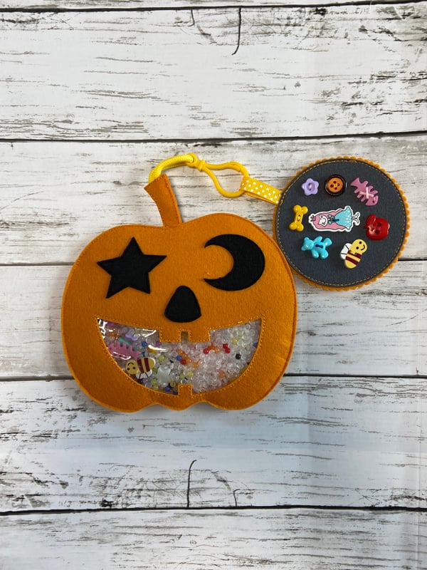 Image of Pumpkin ISPY Toy
