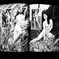 Image 19 of BELLE #7