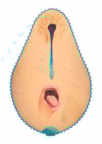Image 1 of Ass 2 Mouth