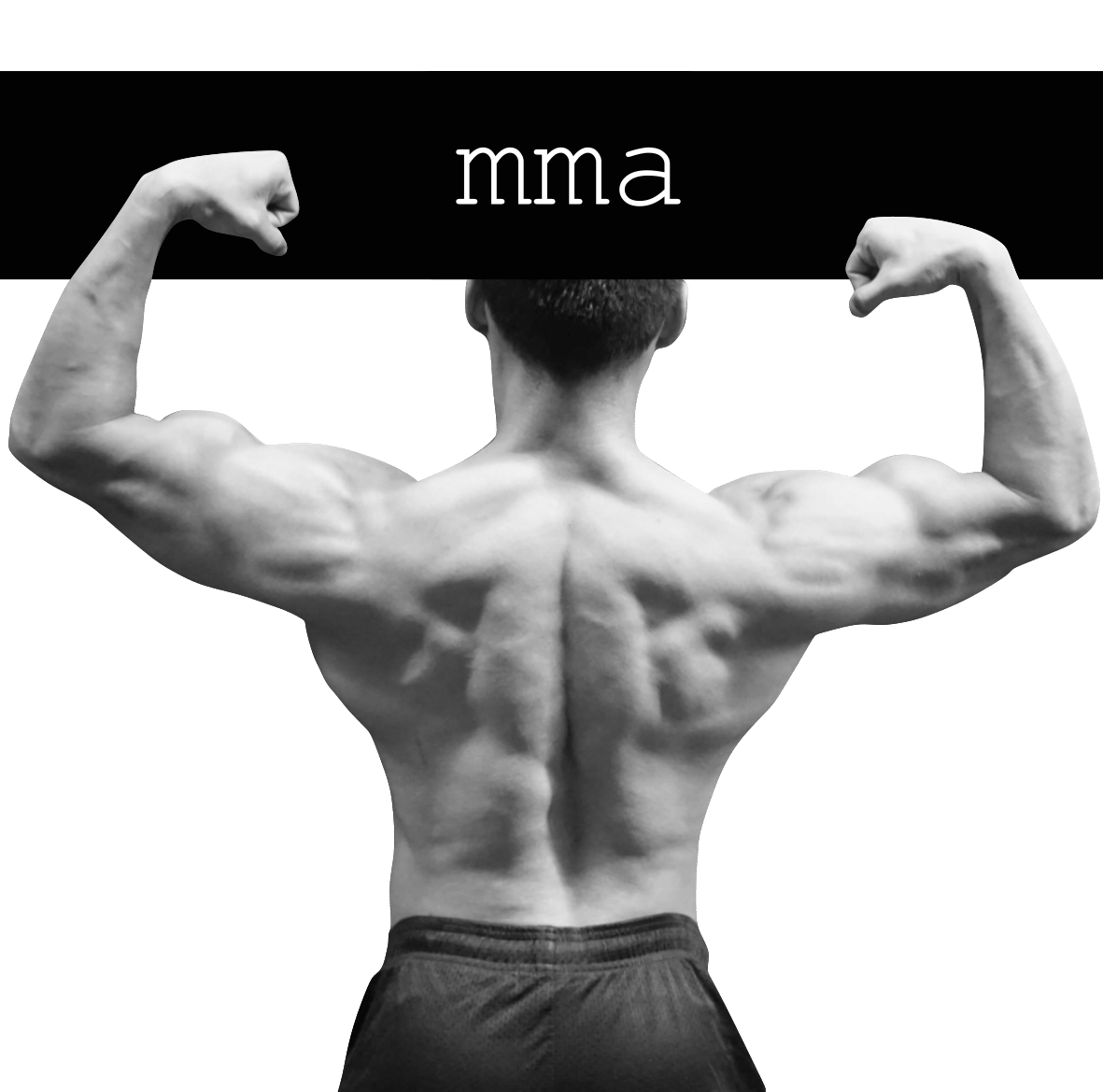Image of MMA Training