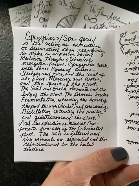 The Flower Attunement Oracle 5-zine bundle by Felicia Howe, Primrose Apothecary