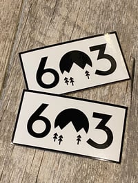603 box logo stickers - 4"x2.25" clear vinyl with black