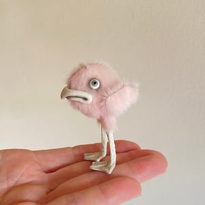 Image of Ursula the Grumpy  Pink Bird