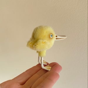 Image of Ambrose the Duck