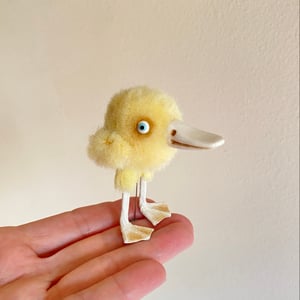 Image of Ambrose the Duck