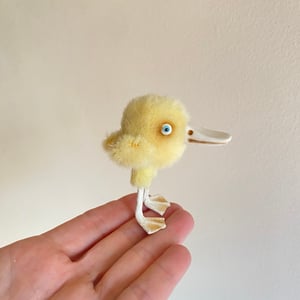 Image of Ambrose the Duck