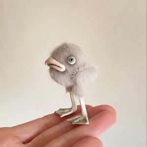 Image of Stanley the Grumpy Bird