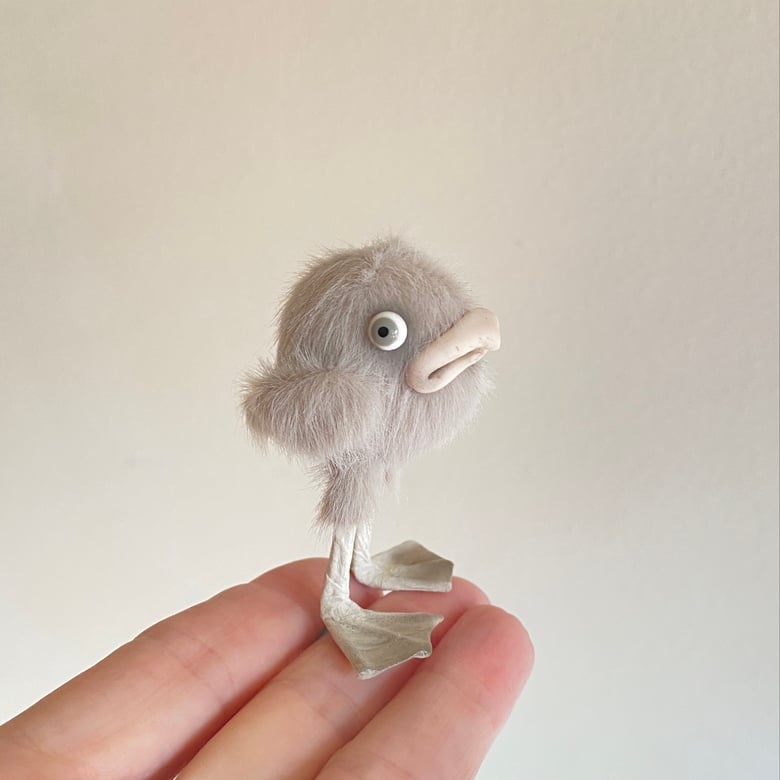 Image of Stanley the Grumpy Bird