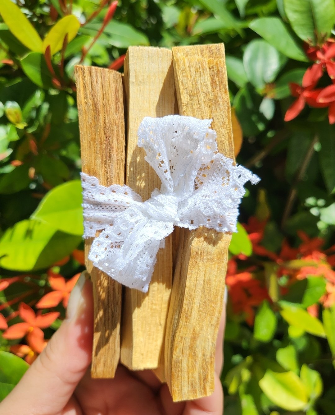 Palo Santo Holy Wood