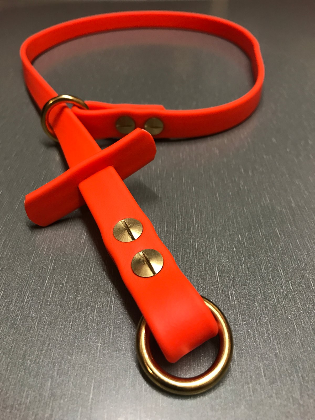 Specialist gun best sale dog leads