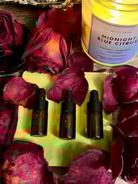 Image 1 of Mini Forest Mint Beard Oil (3 pack)