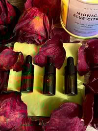 Image 2 of Mini Forest Mint Beard Oil (3 pack)