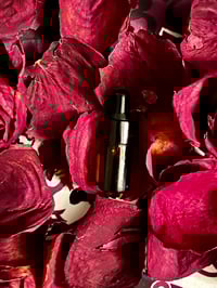 Image 4 of Mini Forest Mint Beard Oil (3 pack)
