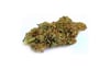 Orange Cookies
