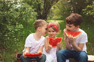 Image of June Watermelon Minis 