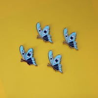 Image 4 of BUTTERFLEYE