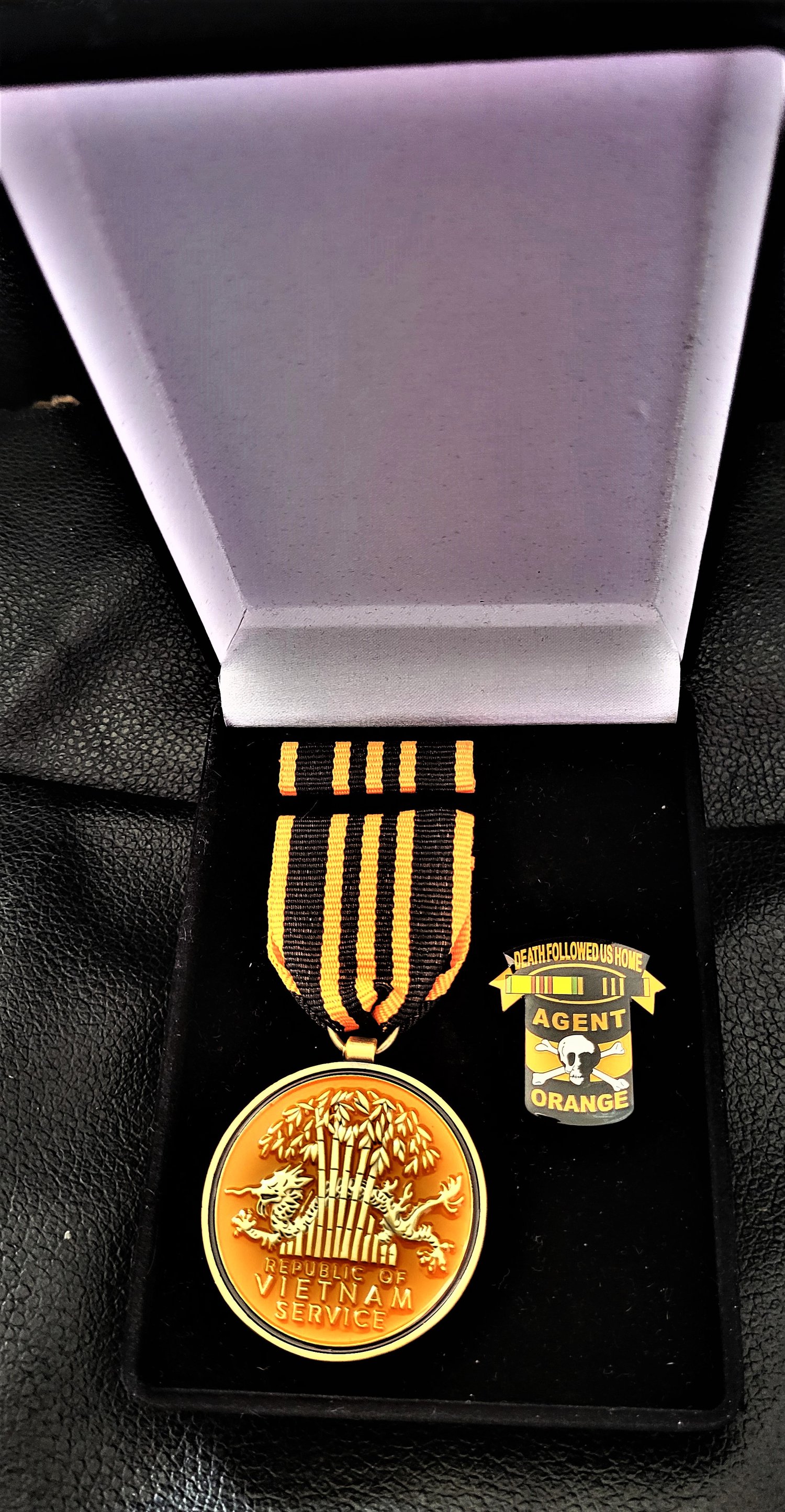 Image of Agent Orange Commemorative Medal, AO Service Ribbon, and Death Followed Us Home Pin