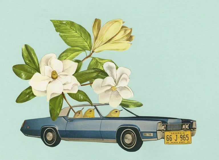 Image of Stealing Magnolias. Limited edition collage print.