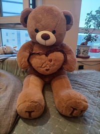 80cm/100cm Lifesize Teddy Bear