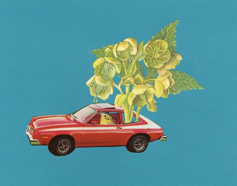 Image of Olive was hellebores on wheels in her new Pinto runabout. Limited edition collage print.