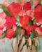 Image of Vivid Vermillion 8x10