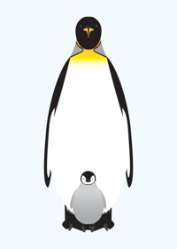 Image 3 of Emperor Penguin Collection