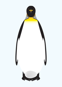 Image 1 of Emperor Penguin Collection