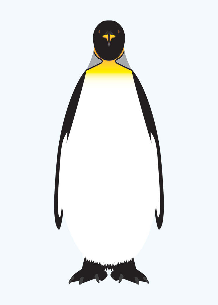 Emperor Penguin Collection