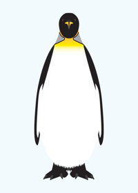 Image 2 of Emperor Penguin Collection