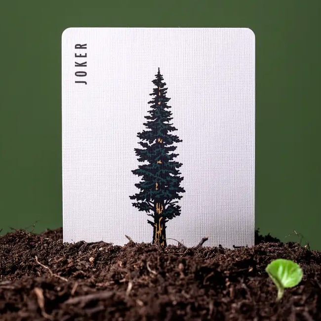 Smokey Bear Playing Cards