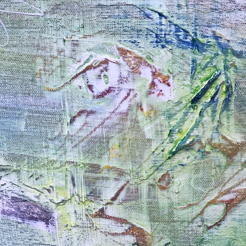 Image of In the Shallows