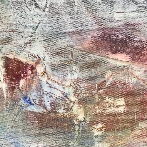 Image of In the Shallows