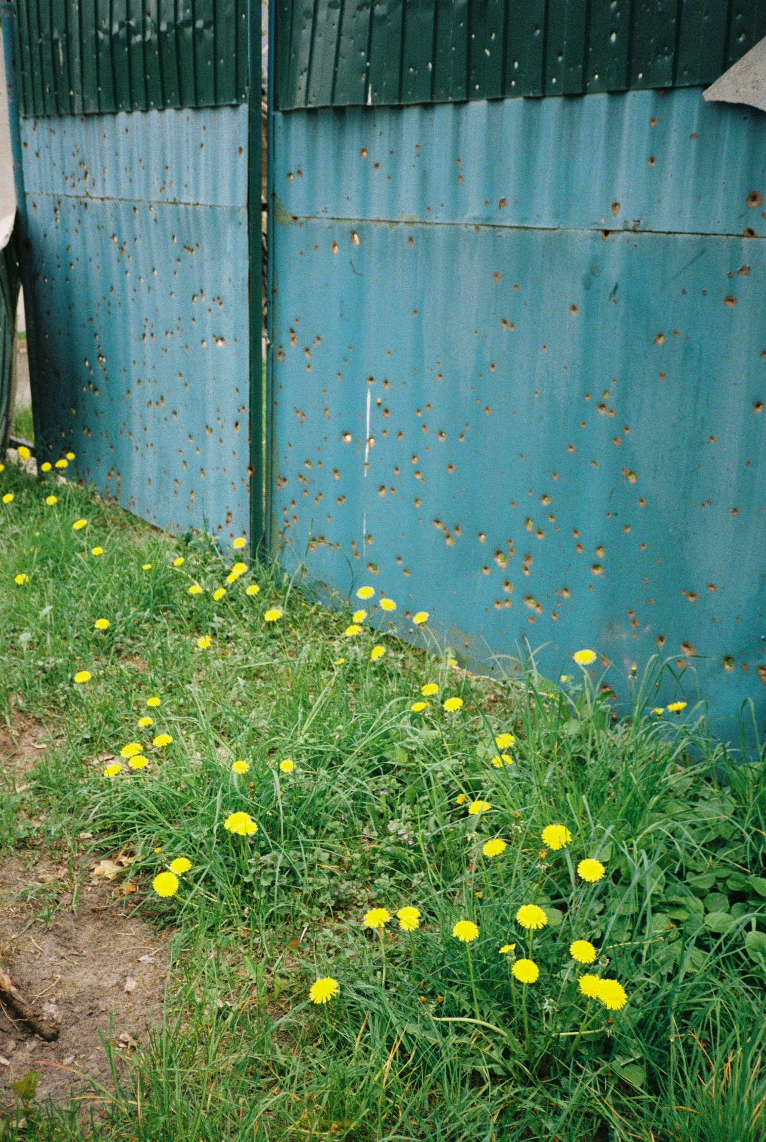 spring under ruzzian peace