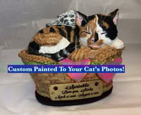 Image 1 of Custom Engraved Handpainted Sleeping Cat In Basket Urn