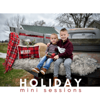 Image 1 of 2024 Holiday Mini Sessions with highland cows~ $225