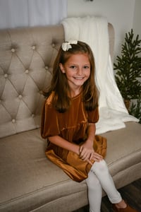 Image 2 of 2024 Studio Christmas Mini Sessions~$250