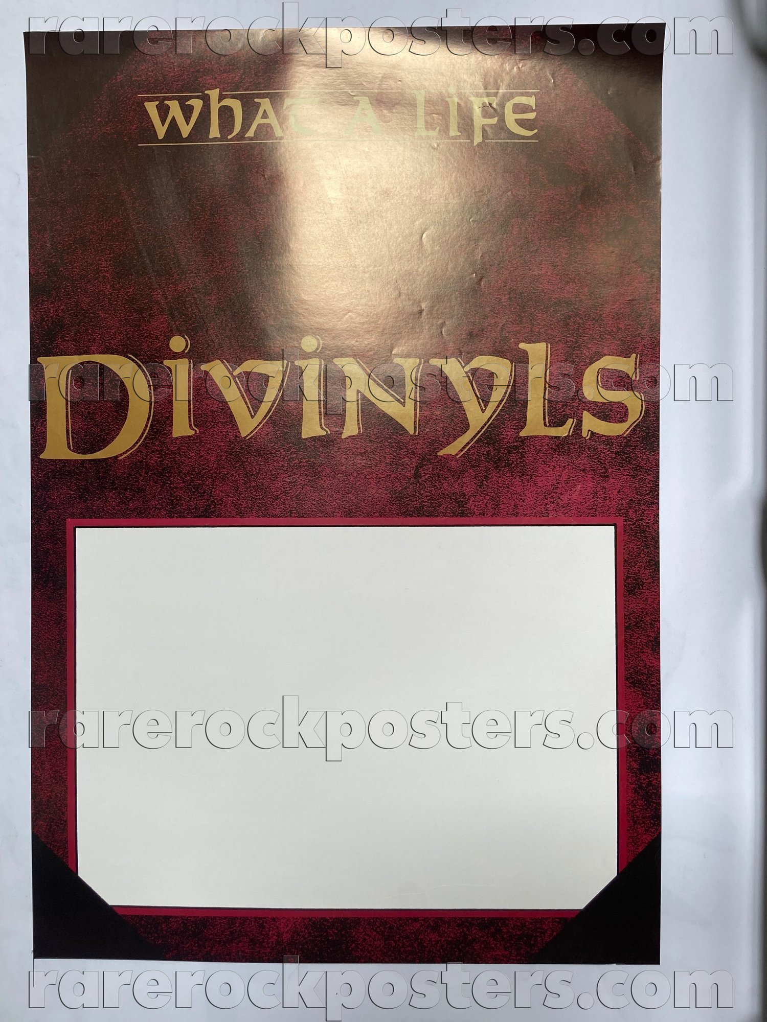 DIVINYLS ~ WHAT A LIFE TOUR ~ ORIGINAL 1985 AUSTRALIAN TOUR GIG BLANK POSTER