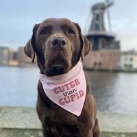 Image 2 of Cuter than Cupid - Reversible bandana 