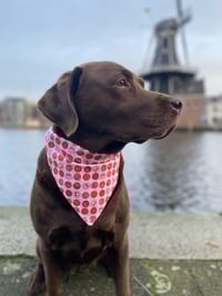 Image 3 of Cuter than Cupid - Reversible bandana 