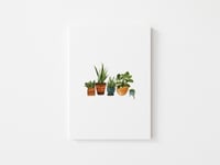Plant Lady