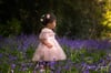 NEW LOCATION - Bluebell Mini Sessions - 27th April 2024 