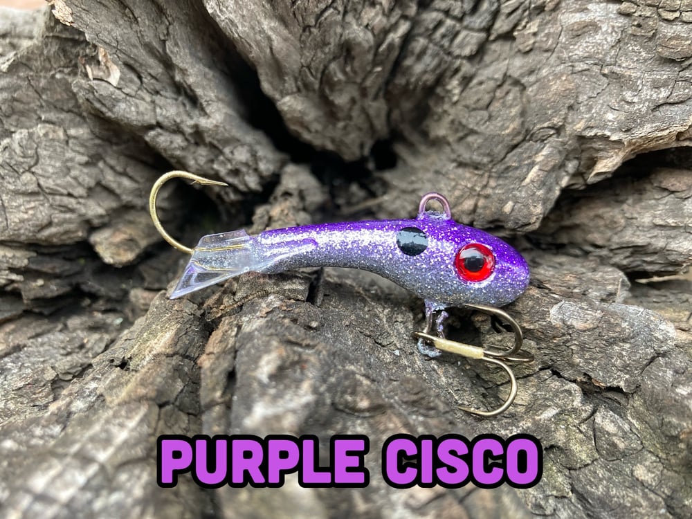 Purple Cisco Ripper Minnow     WP107