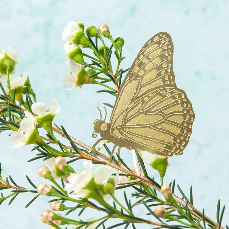 DÉCO ANIMAL POUR PLANTE - PAPILLON, ANOTHER STUDIO Image 2